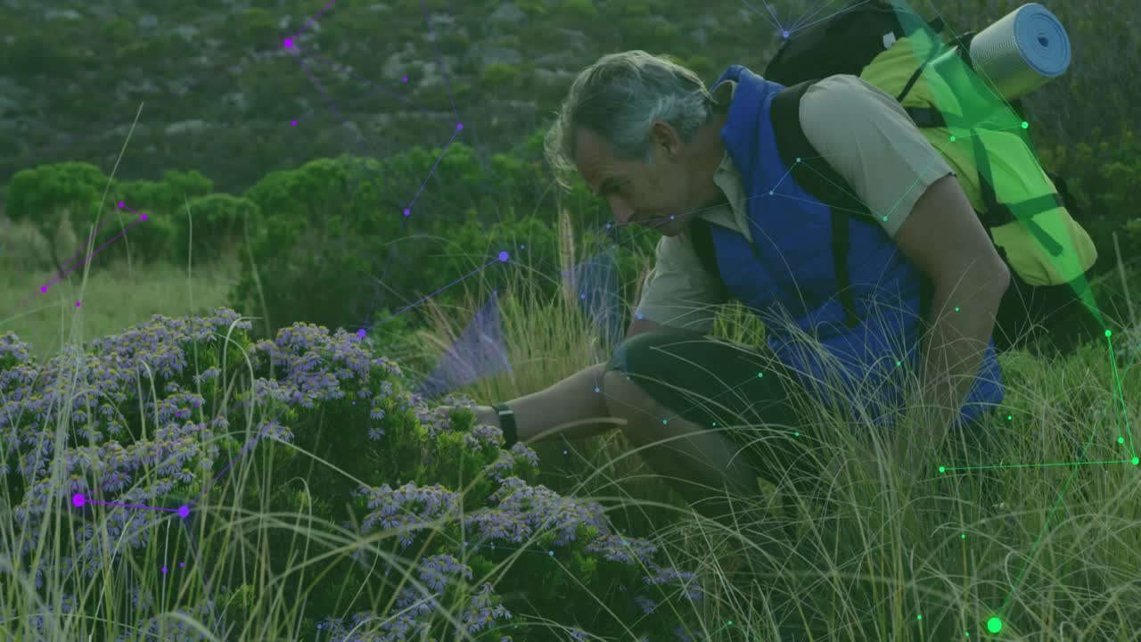 Anziano uomo che si china, inginocchiato in un prato, tocca ed esamina fiori viola per uno studio botanico.