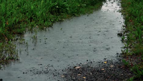 close-up of water drops falling and splashing on the ground during rain, highlighting the texture and movement of the water and surface