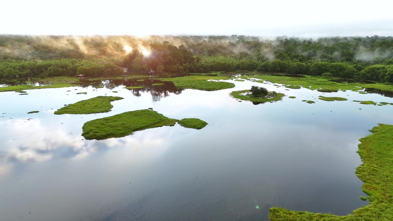 Panoramic view of flooded swamp in tropical rainforest with lots of crocodiles