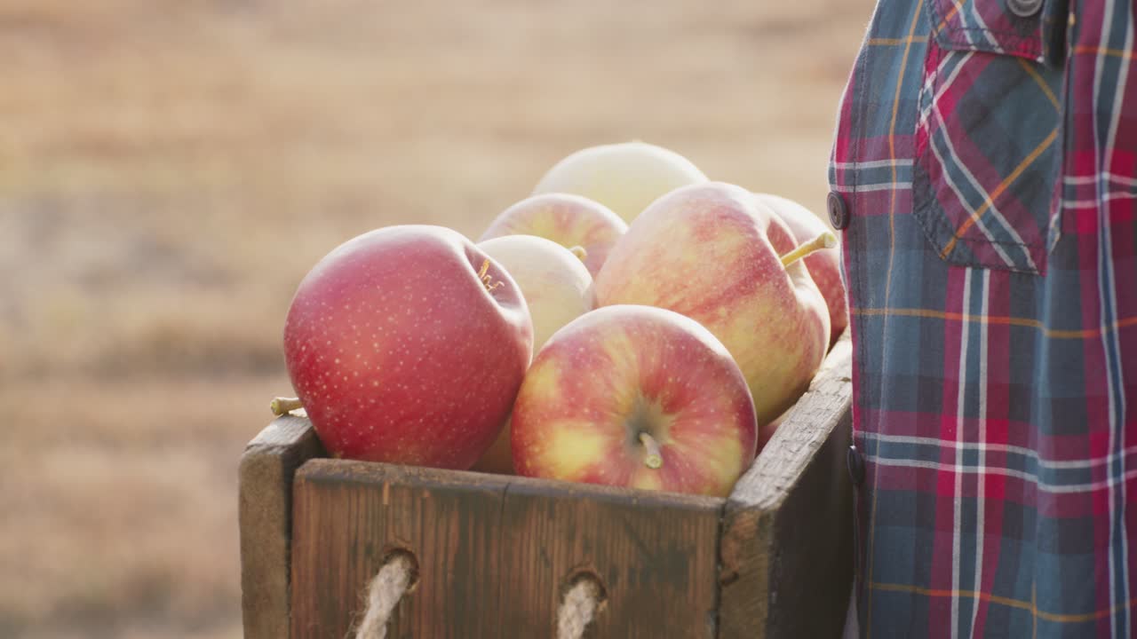 사과 로 가득 찬 나무 상자를 들고 있는 사람