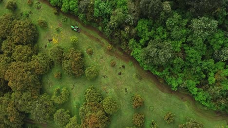 Tractor-Descendiendo-Por-Una-Hierba-Verde-México