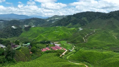 Berühmtes-Asiatisches-Wahrzeichen,-Boh-Teeplantage,-Cameron-Valley-House,-Luftaufnahme