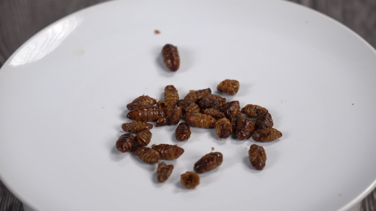 Silkworm pupae on a plate