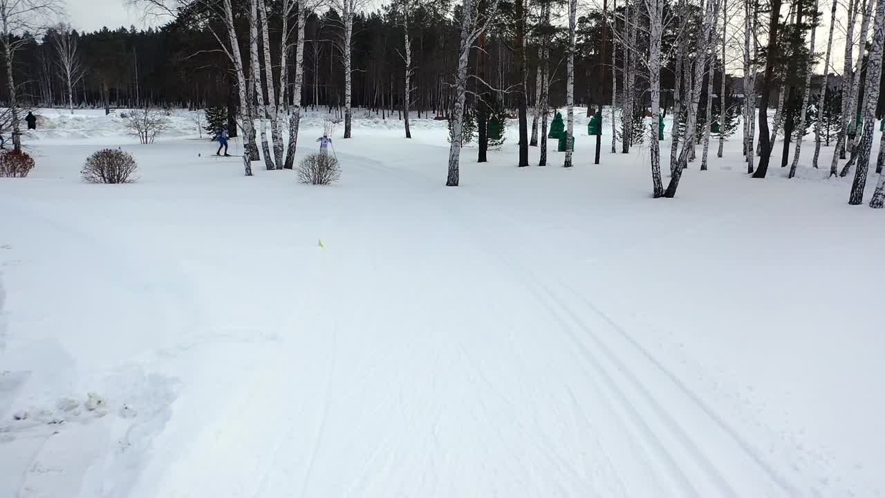 눈 인 숲 공원 에서 크로스컨트리 스키 를 타는 것