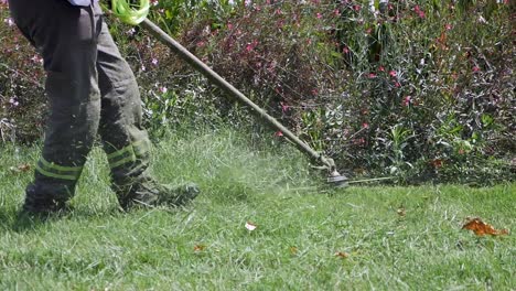 man using a string trimmer to mow a lawn