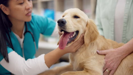 Woman,-dog-and-vet-checking-ears-on-table