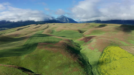 Wallowa-Se-Eleva-Sobre-El-Campo-De-Mostaza-Con-Nubes-Y-Montaña