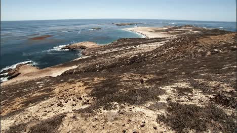 California-Sea-Lions-Relaxing-With-their-Younglings-On-A-Beach-2010S