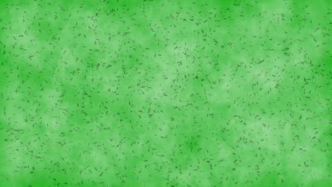 moving microbes green screen motion graphics