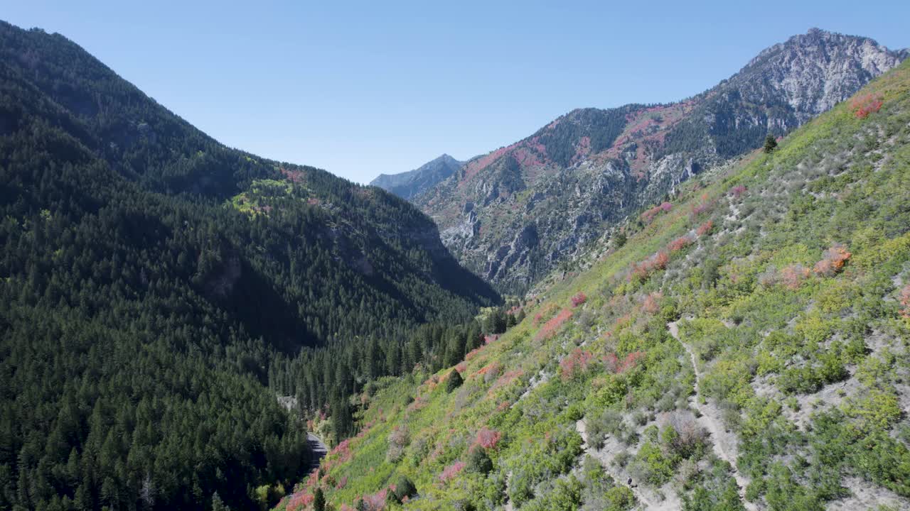 vista aérea del cañón de la bifurcación americana durante el otoño en las montañas wasatch de utah, estados unidos - disparo de drones
