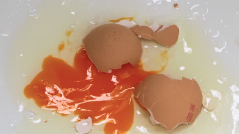 raw egg dropped and splashed cracked close up explosion