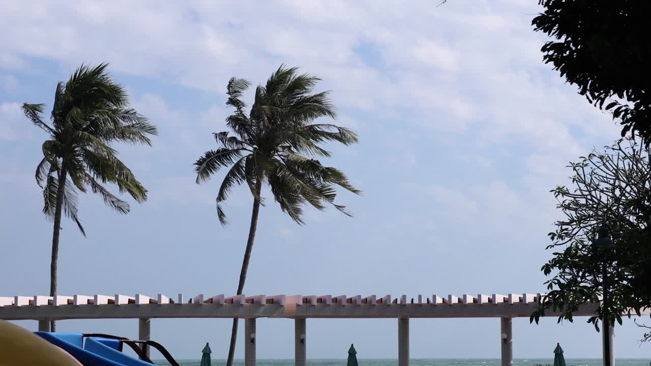 바다 의 바람에 흔들리는 종려나무