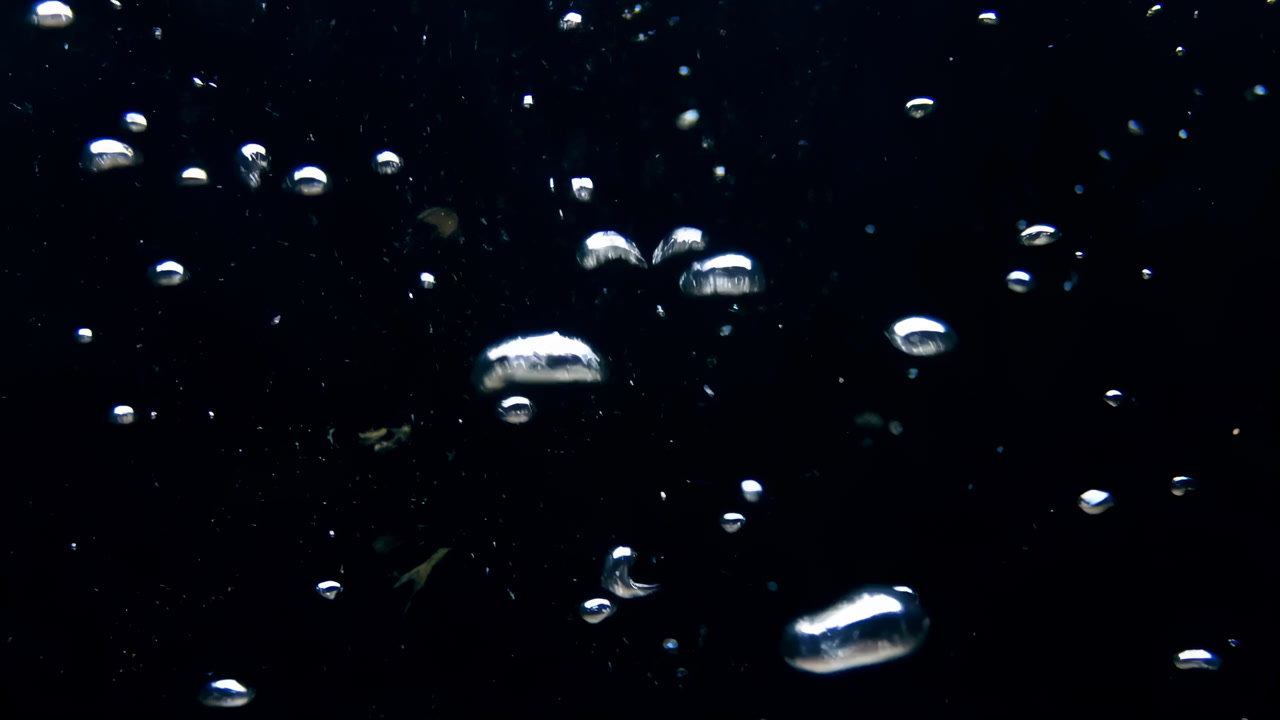 Bubbles Rising Through Dark Water, Clear Spherical Bubbles Drifting Upward Against Black Backdrop, Slow