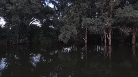 drone fly by tree trunks sunken reflecting in dark lake water