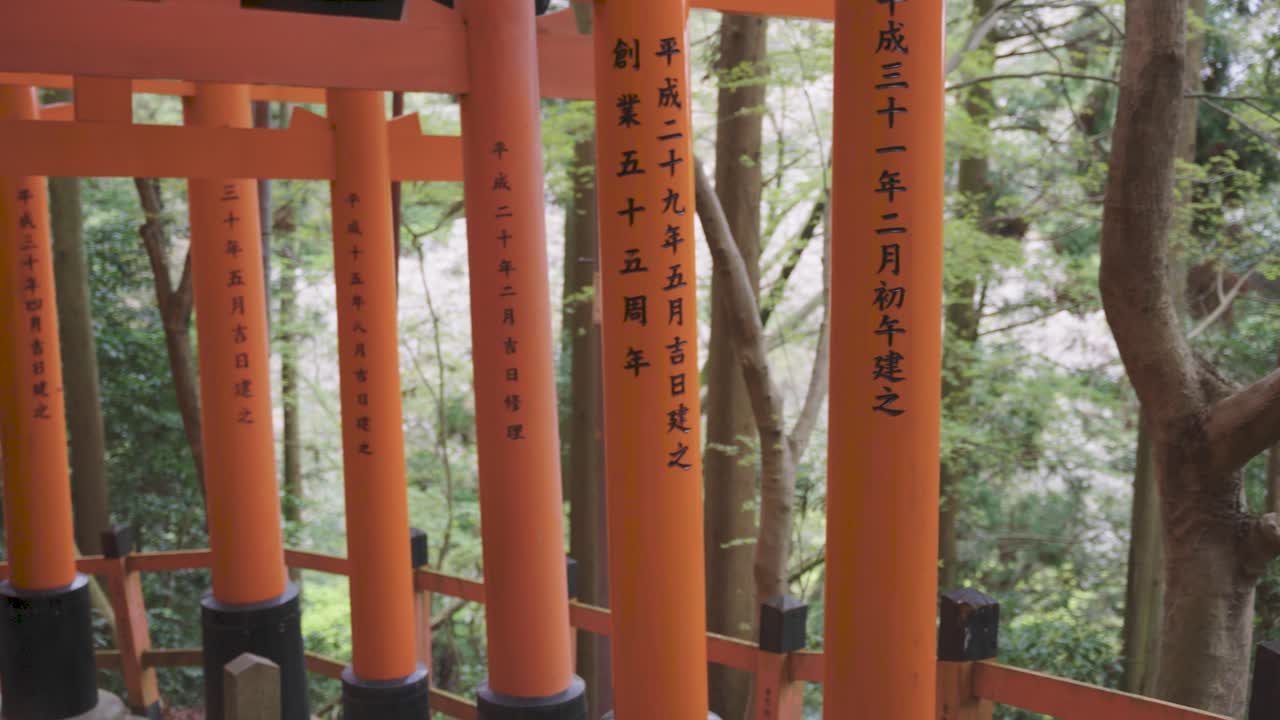 tiro panorámico sobre las puertas torii de kyoto en el santuario fushimi, japón