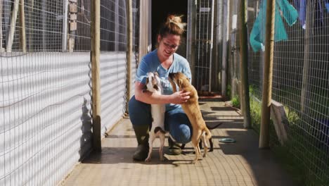 dog in a shelter with volunteer