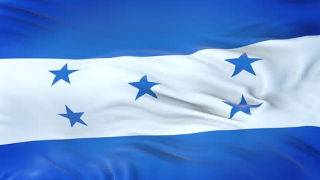 honduras flag waving in the wind with highly detailed fabric texture. seamless loop