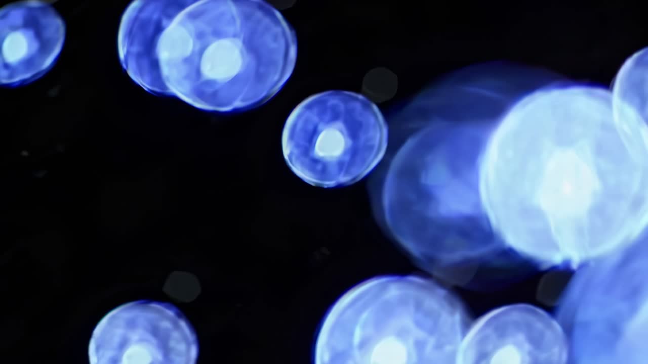 Video astratto di sfere blu luminose su sfondo scuro, ripreso da un’angolazione ravvicinata