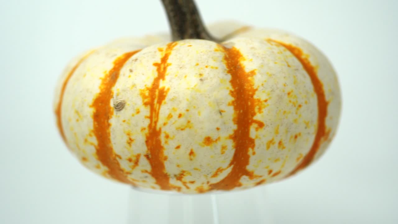 흰색과 주황색 줄무늬 호박이 왼쪽에서 오른쪽으로 미끄러집니다.