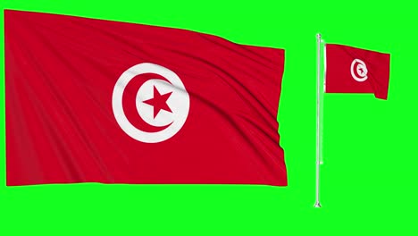 Green-Screen-Waving-Tunisia-Flag-or-flagpole