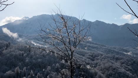 mountain landscape and snowfall from trees in forest hyrcanian nature gilan travel iran georgia sakartvelo rural village highland cabin agriculture road driving snowflakes extreme climate in caucasus
