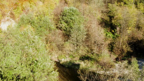 dron volando sobre el bosque de montaña en un día soleado de otoño