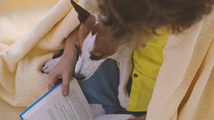 vista dall'alto del ragazzo biondo con i capelli ricci seduto sul pavimento coperto da una coperta accanto al suo cane durante la lettura