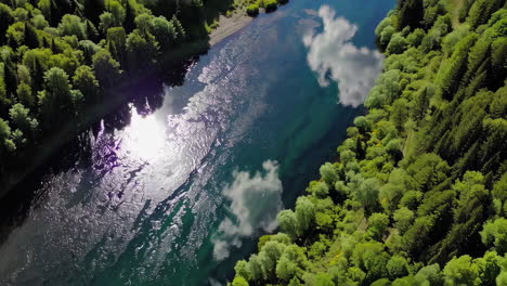 aerial view of a river winding through a lush forest