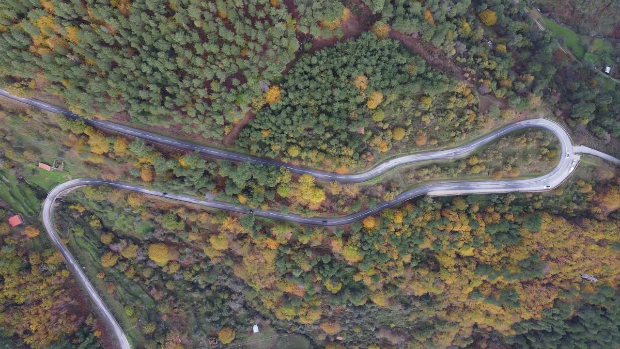 Cars driving on a curvy road with autumn colors in Portugal