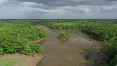 vista aérea hacia adelante sobre pantanos en humedales, república dominicana