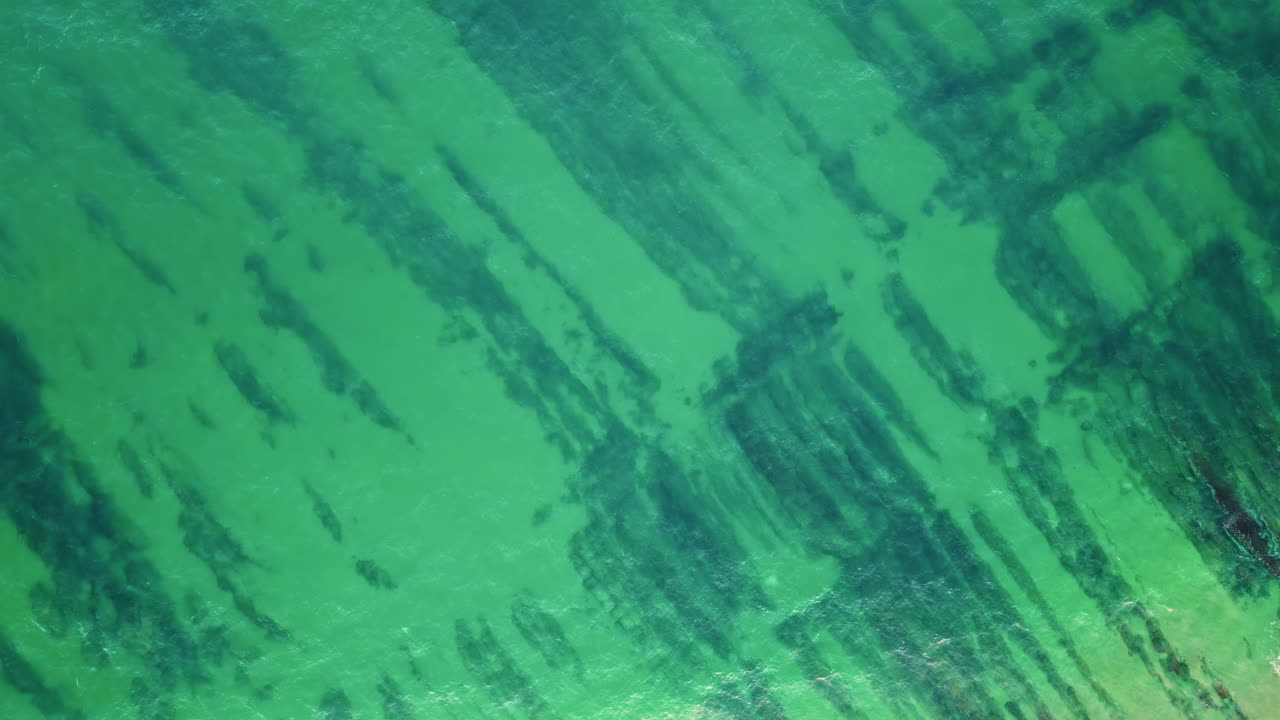 Drone view ocean surface showcasing intricate patterns of green algae in water.