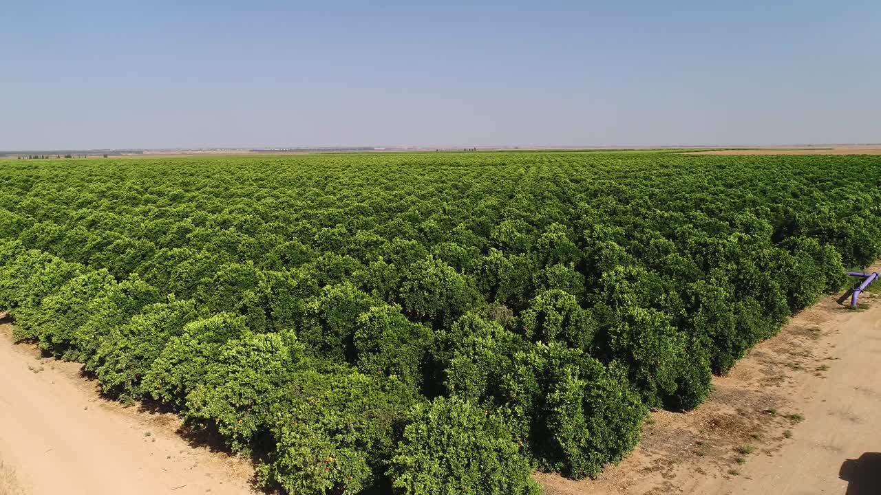 imágenes aéreas de grandes plantaciones de árboles frutales y campos agrícolas
