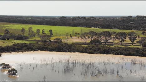 vista aérea del lago del bosque de la isla canguro