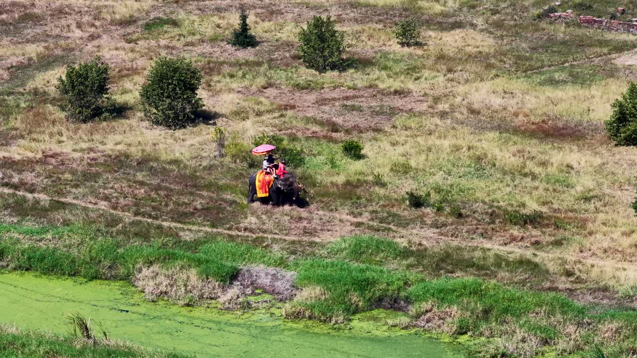 Ripresa aerea dall'alto di turisti a dorso di un elefante che attraversa una prateria tailandese soleggiata