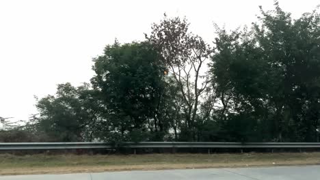 pov from moving car driving through the highway along the trees in new delhi, india.