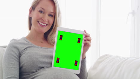 check out my baby development calendar!