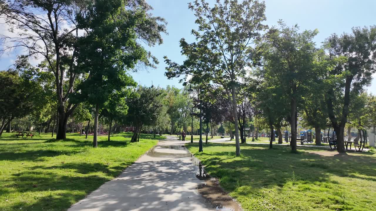 Un día soleado en el parque