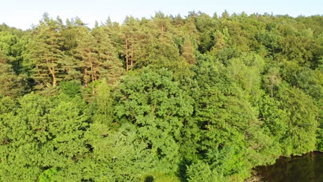 Tiro-De-Carro-Desde-Un-Dron-Del-Bosque-Boreal-Polaco-En-El-Distrito-De-Pomerania