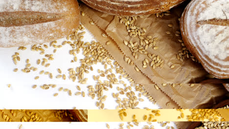 various bread loaves with wheat grains