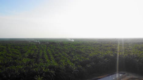 Cinematic-4K-Drone-Footage-of-Onshore-Drilling-Rig-equipment-structure-for-oil-exploration-and-exploitation-in-the-middle-of-jungle-surrounded-by-palm-oil-trees-during-sunset-and-high-oil-price