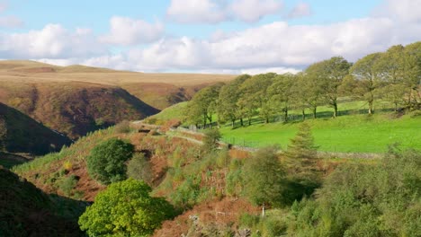 paisaje rural típico de yorkshire