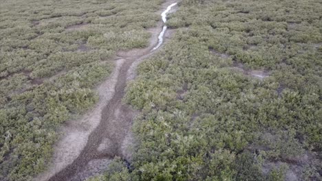 Dron-Que-Muestra-Un-Arroyo-Y-El-Humedal