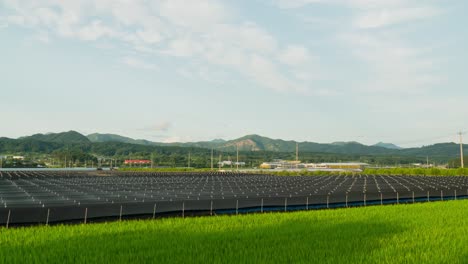 clouds moving under the rice and ginseng farmfield in geumsan county in south chungcheong province, south korea