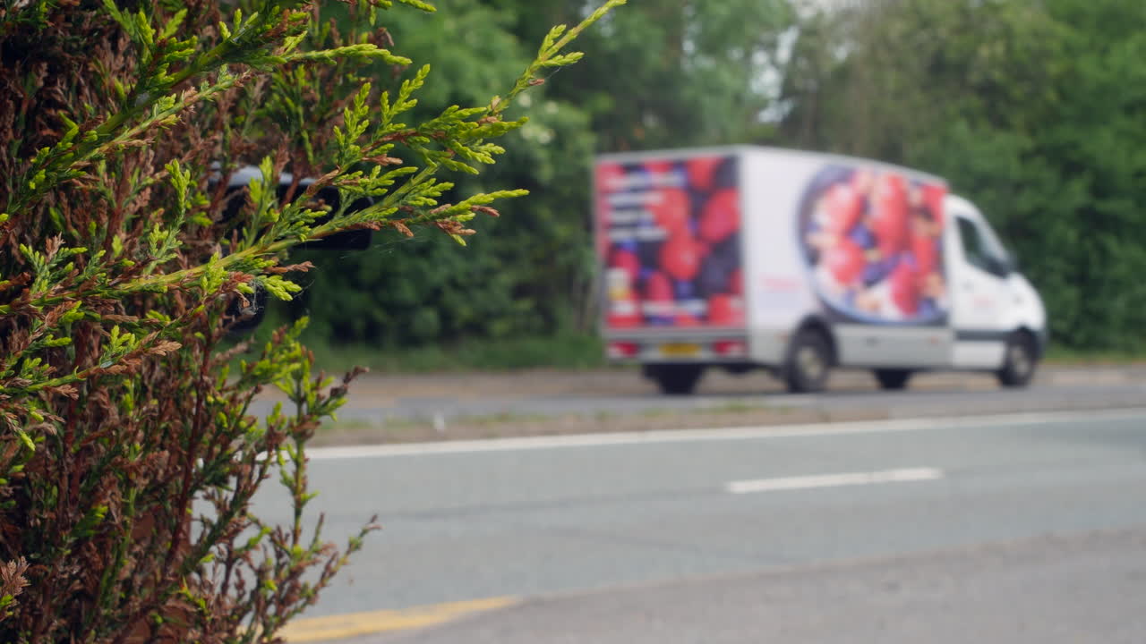 automobili che passano da un vialetto su una strada trafficata