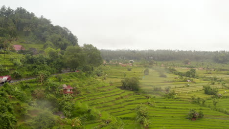 Amplia-Vista-Aérea-De-Las-Exuberantes-Plantaciones-De-Arroz-De-Granja-Verde-En-Asia.-Camiones-Conduciendo-Por-La-Carretera-De-La-Colina-Pasando-Por-El-Campo-Rural-Tropical-En-Bali