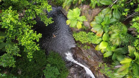 Woman-swims-in-a-pool-of-water-below-a-waterfall