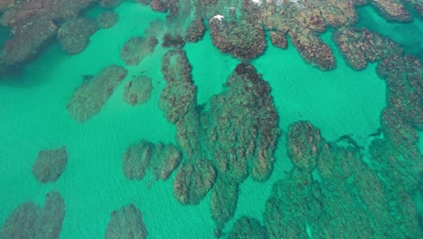 aerial view orbiting over turquoise waters and coral reefs at puerto viejo beach, costa rica, under bright daylight.