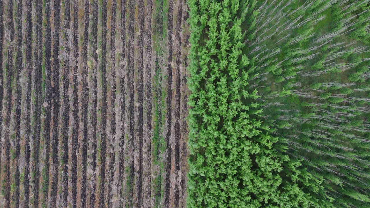 Aerial view of deforested farmland with dense green plantations and barren land.