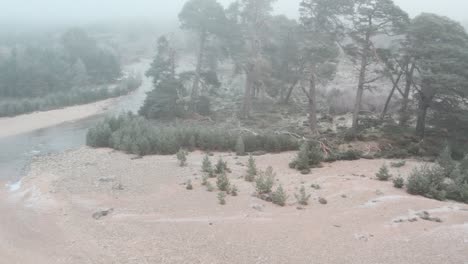 Imágenes-Cinematográficas-De-Drones-Que-Vuelan-Sobre-El-Río-Y-La-Orilla-Del-Río-Que-Fluyen-Rápidamente-Hacia-Los-Antiguos-Pinos-Escoceses-A-Través-De-La-Niebla-Helada