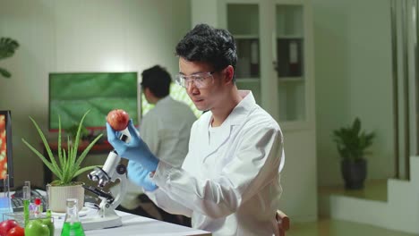 biochemist researcher injecting healthy apple with dna liquid using medical syringe checking genetic test . scientist biologist examining fruits in microbiology farming laboratory